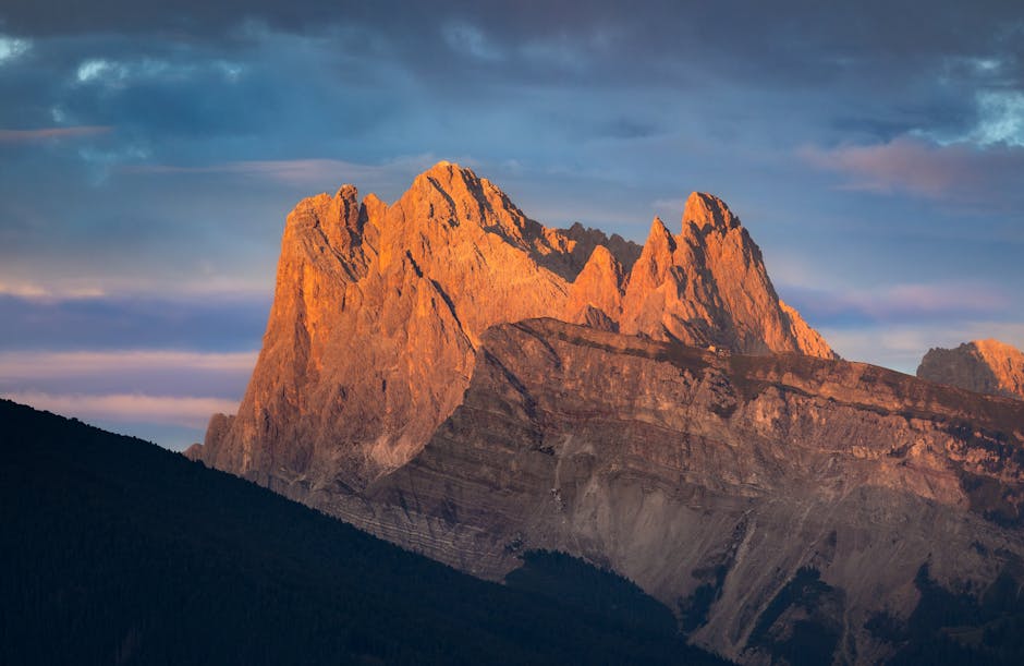 purin d ortie recette