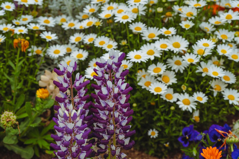 fleurs printemps jardin
