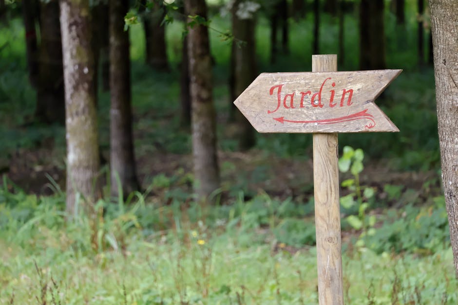 idée aménagement petit jardin