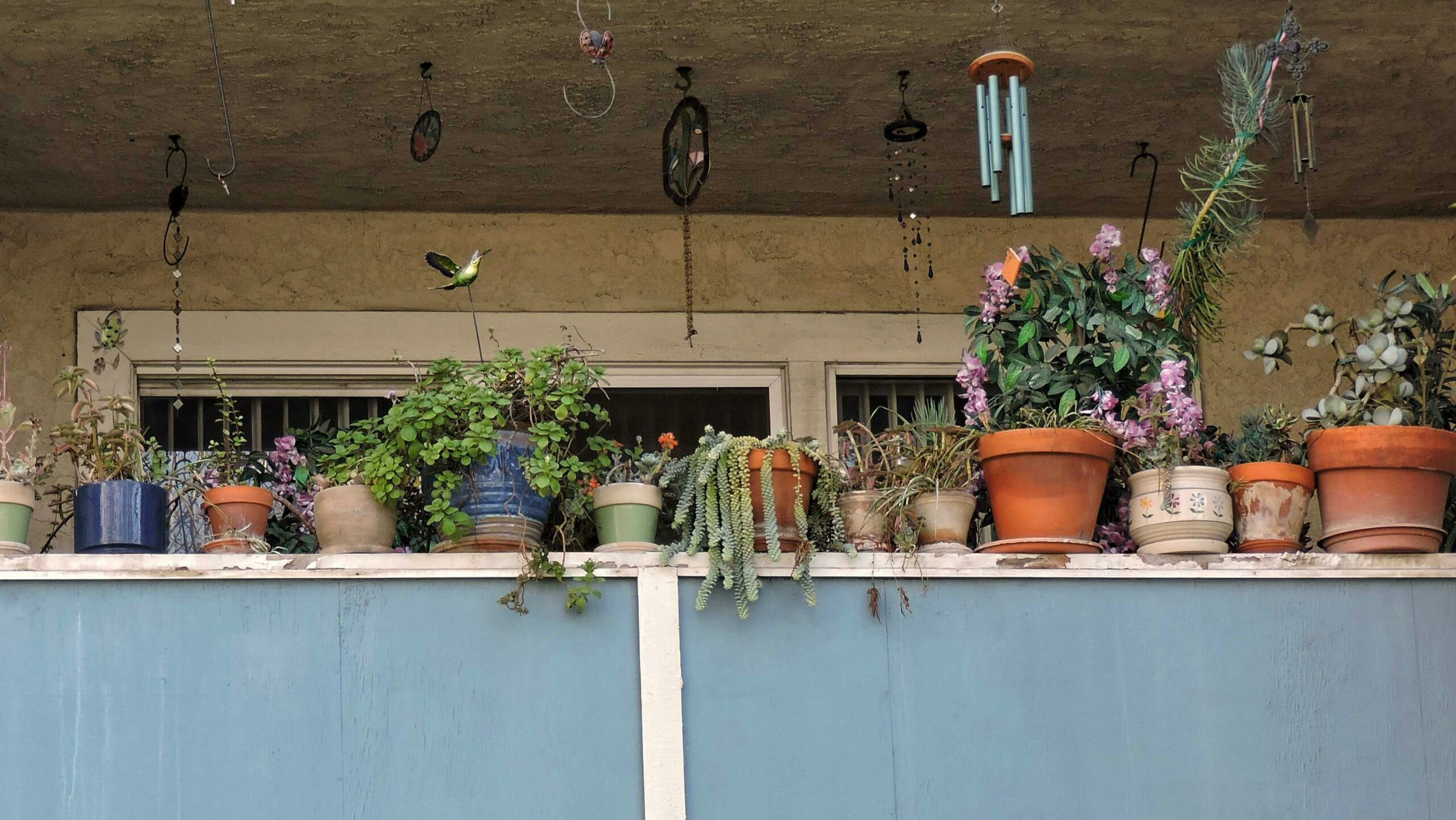 aménagement balcon fleuri