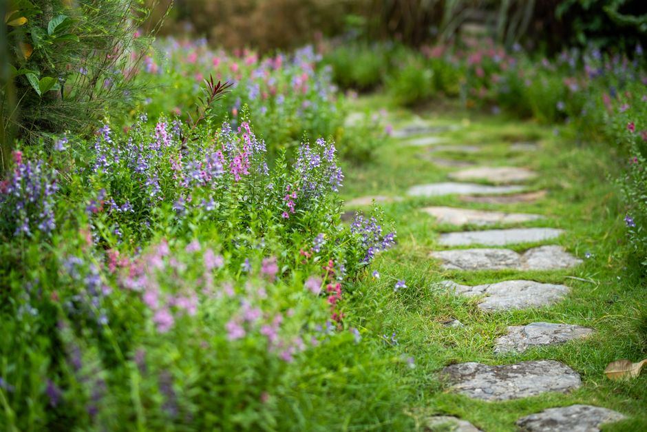 créer allée de jardin