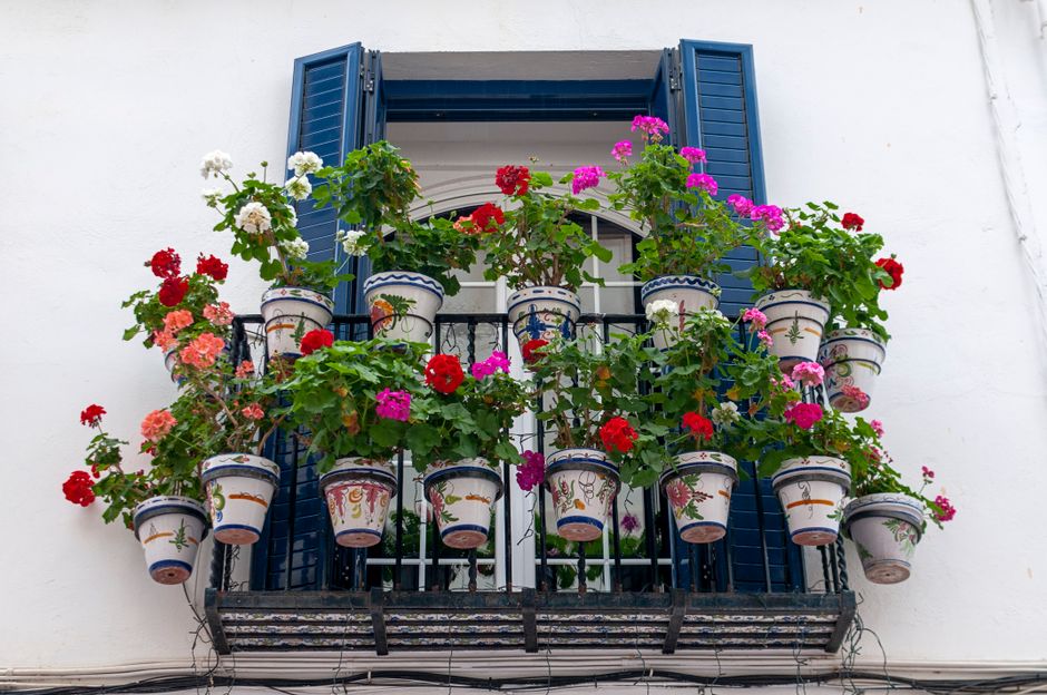 fleurs été balcon