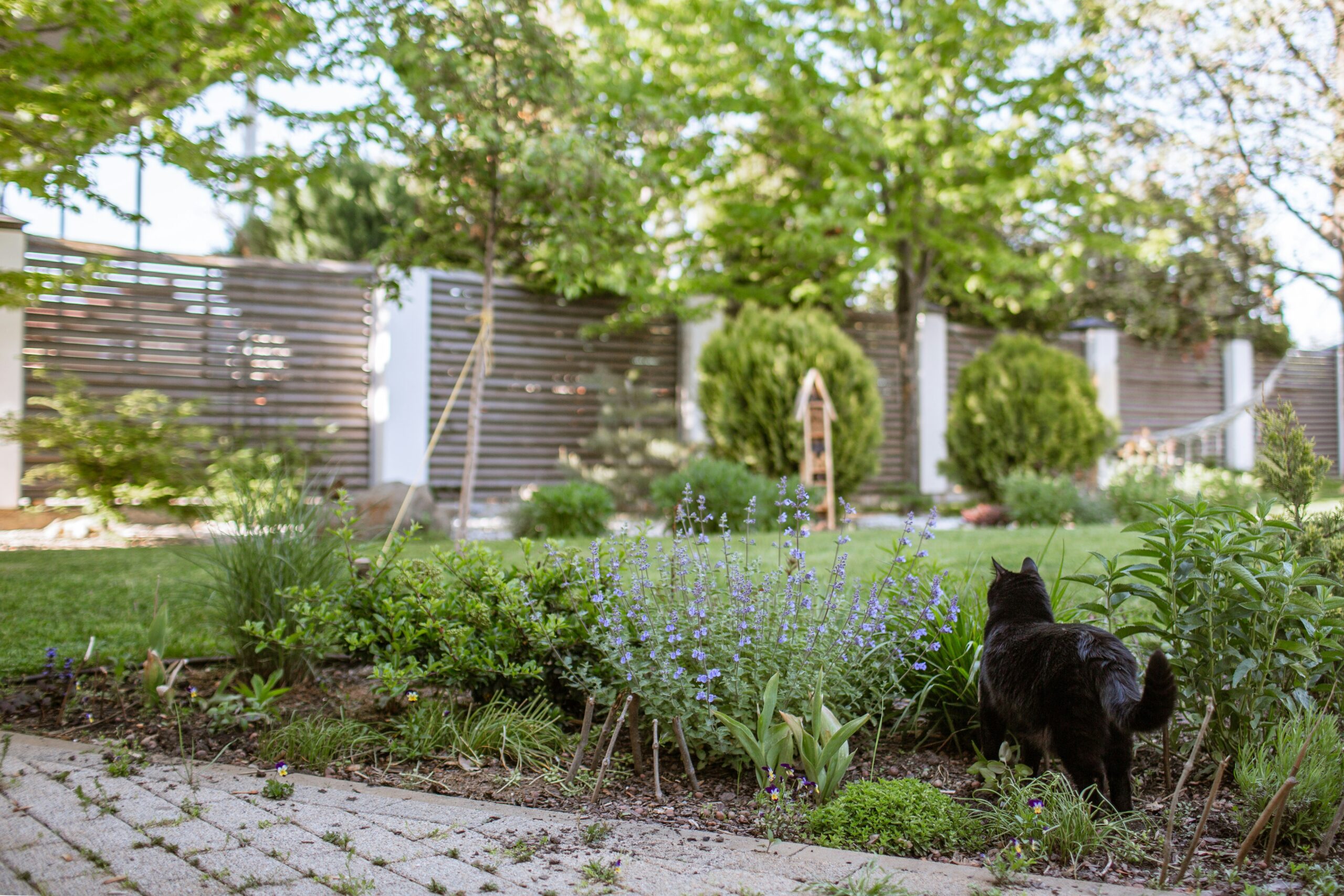 aménager jardin pas cher