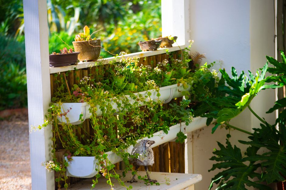 aménagement jardin diy